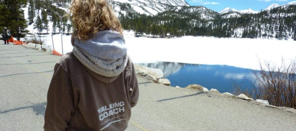 Overwhelmed & Distracted? Come Back to Your&nbsp;Senses.