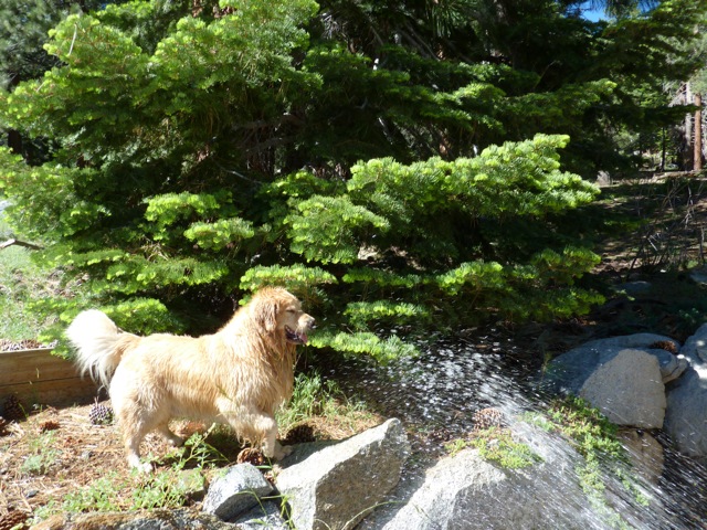 Let go of old Emotional Reactions and&nbsp;Projections