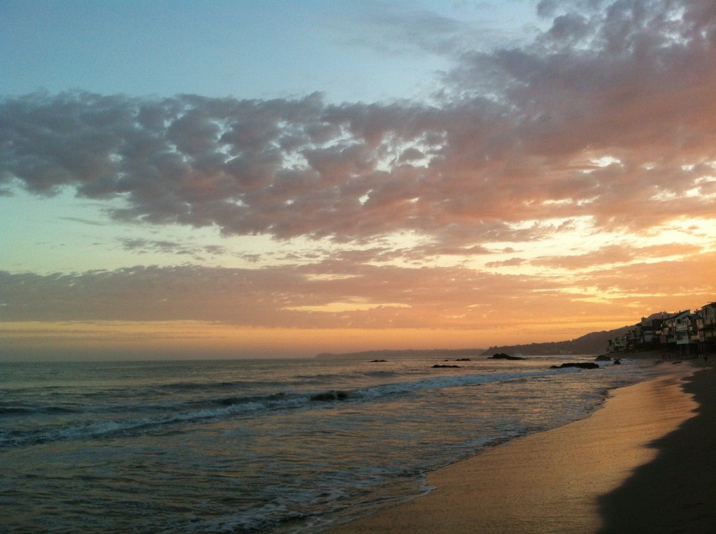 Feel and Show Emotions – Walk in Nature to&nbsp;Reconnect