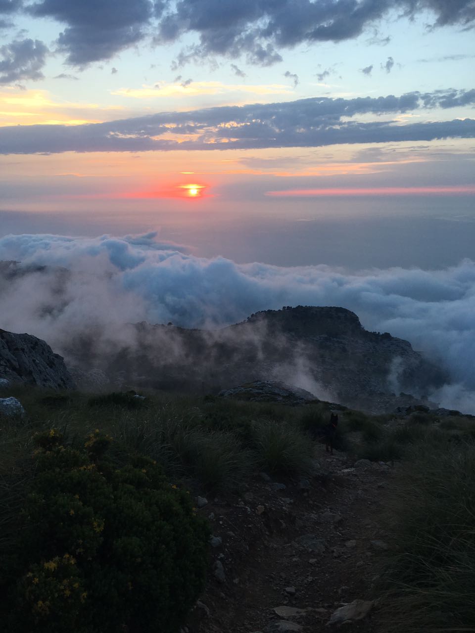 WHO do you think you&nbsp;are???