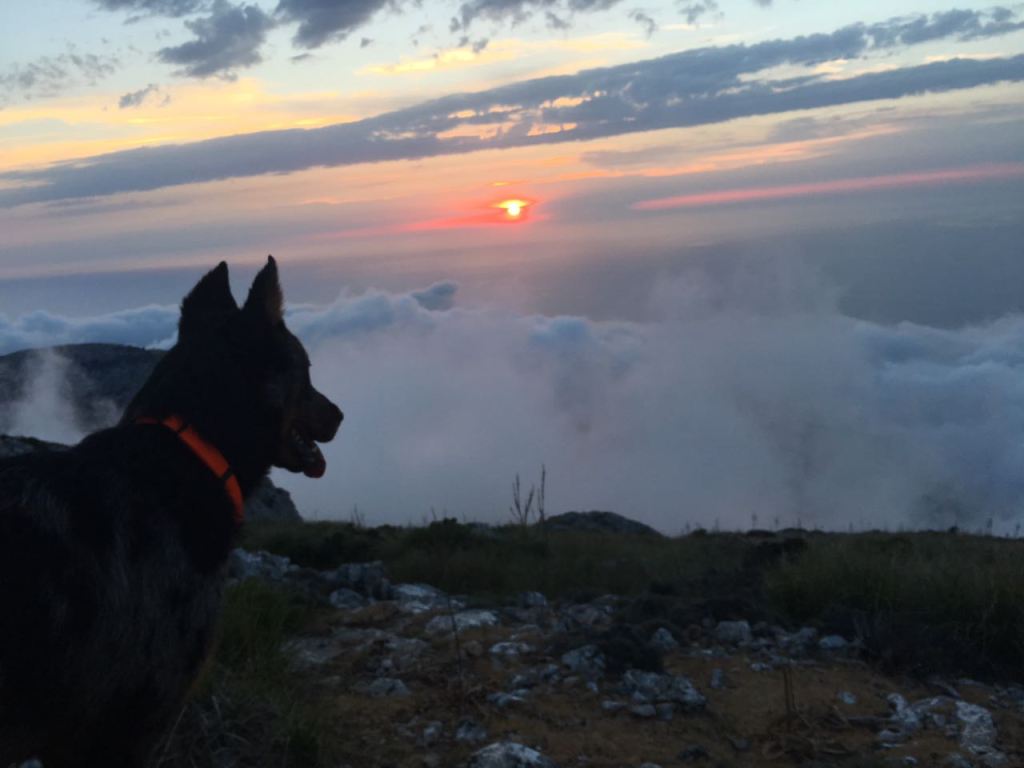 How your personal Code of Ethics relates to Health and&nbsp;Wellbeing