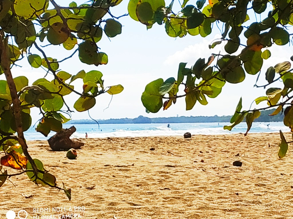 Feeding Positive Vibrations