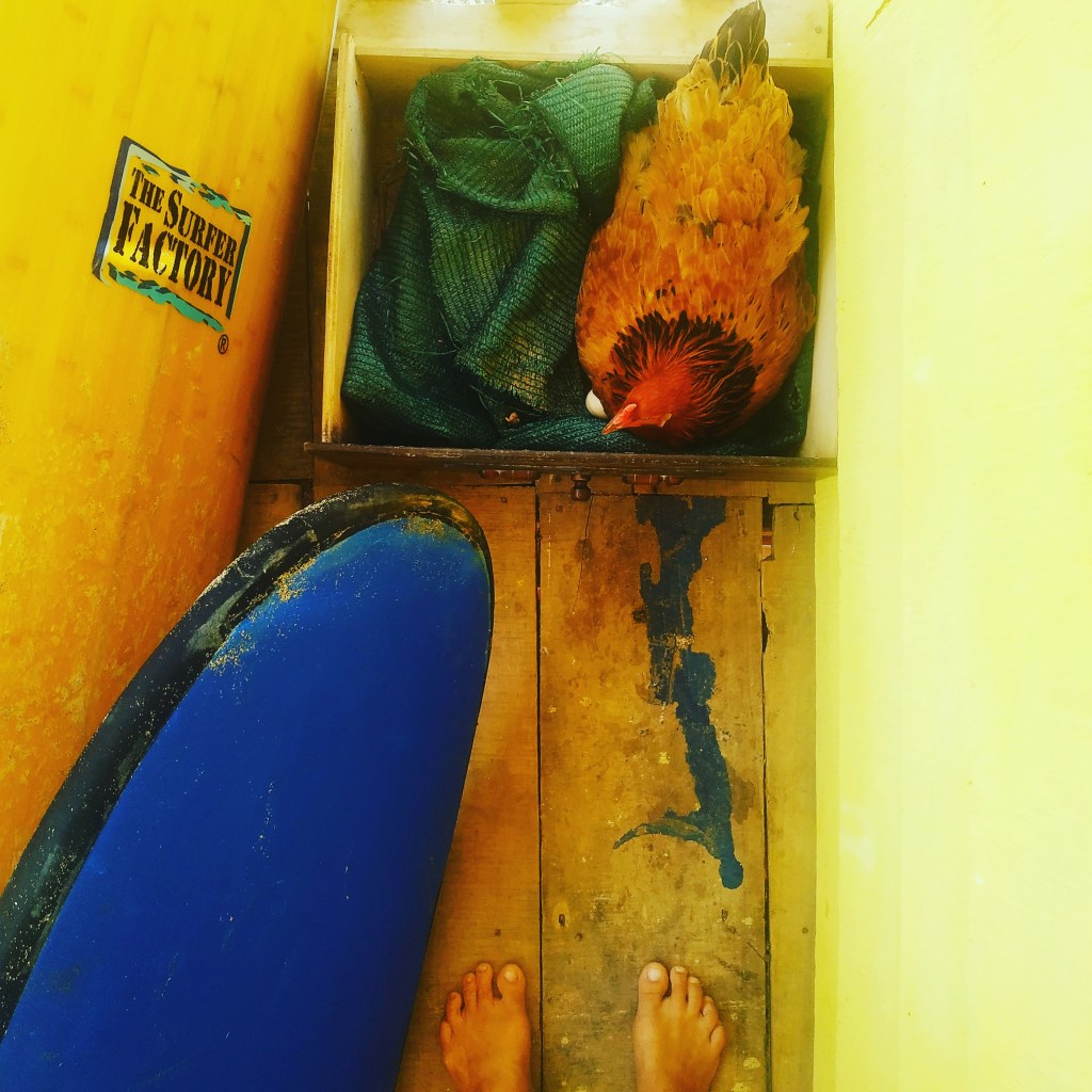 How to Stay Strong and&nbsp;Healthy!