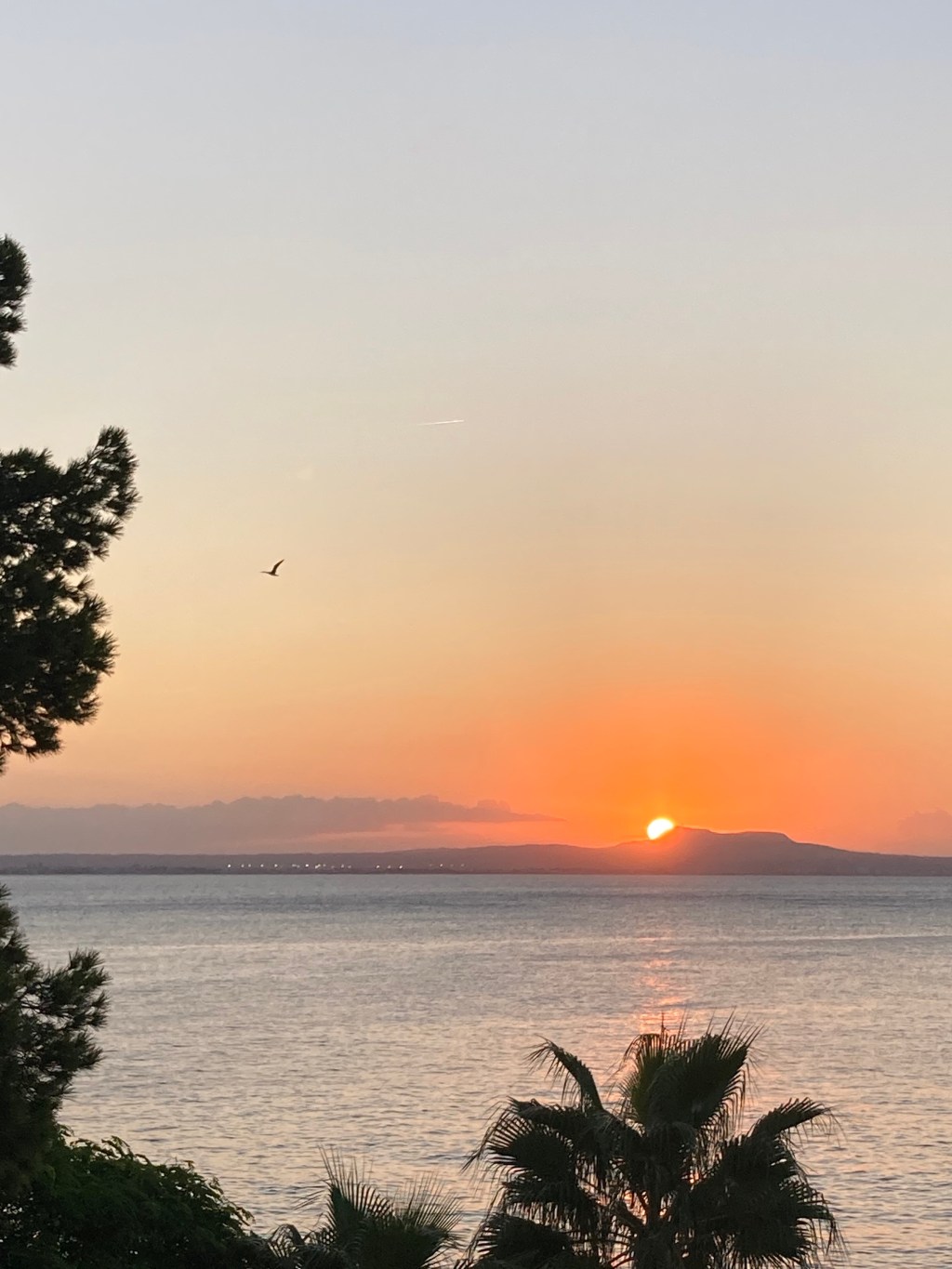 How to Let Go, Enjoy and Still be in&nbsp;Charge?