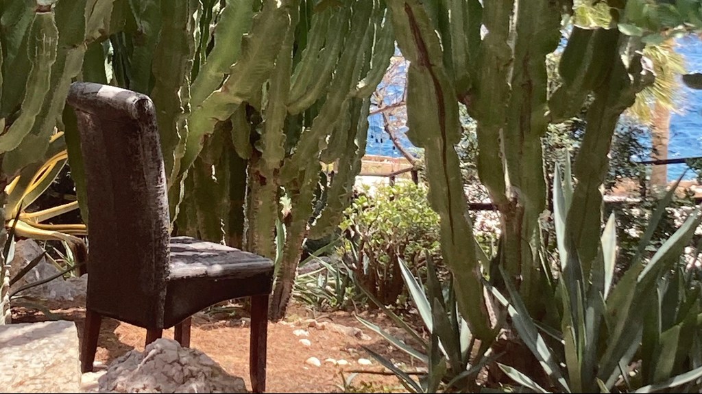 Getting to Know your&nbsp;Needs